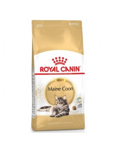 royal-cat-maine-coon-4-kg