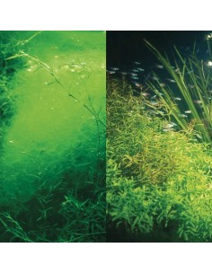 jbl-phos-ex-rapid-100-ml