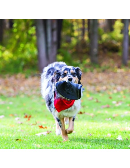 kong-flyer-extreme-l