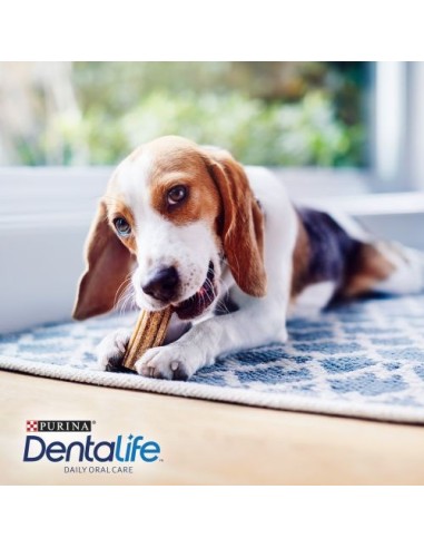 DENTALIFE perro snack Daily oral care...