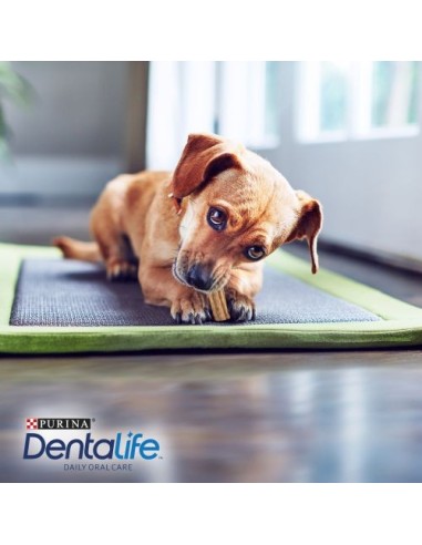 DENTALIFE perro snack Daily oral care...