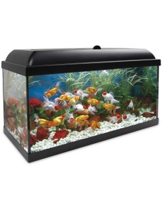 ica-kit-interior-aqualed-100