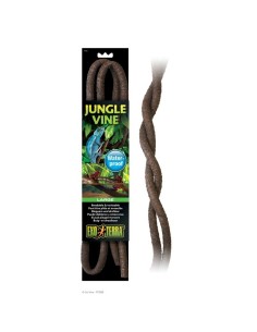 exoterraliana-musgos