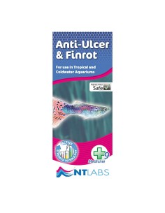 ica-nt-antiulceras-y-podredumbre-aletas