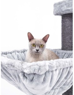 PET REBELS rascador... 2