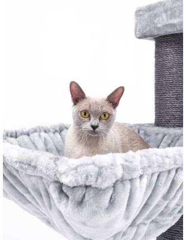 PET REBELS rascador Turnpike gris 200 cm