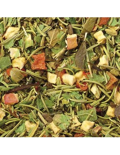 ica-alimento-tortugas-de-tierra-250-ml 2