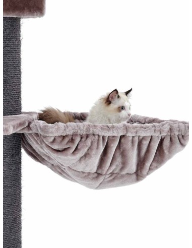 PET REBELS rascador Turnpike...