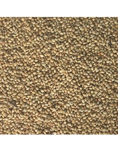 ICA ave panizo 500 gr 2