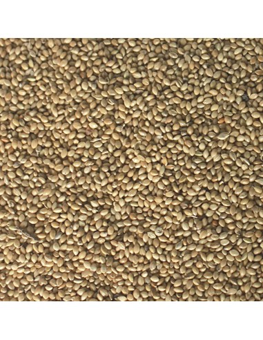 ICA ave panizo 500 gr