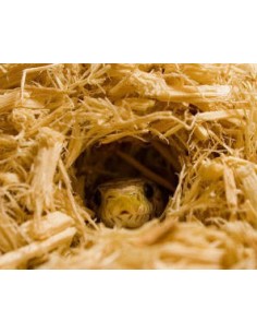 ZOOMED reptil sustrato...