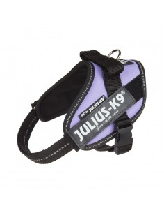 JULIUS K9 IDC lila talla 1...