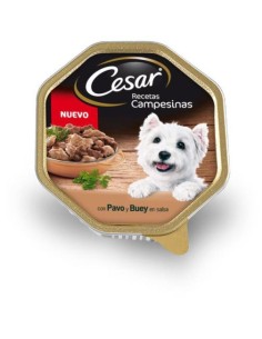 CESAR TARRINA CAMPESINA...