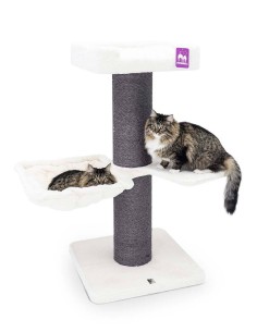 PET REBELS rascador Maine...