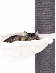 PET REBELS rascador Maine... 2