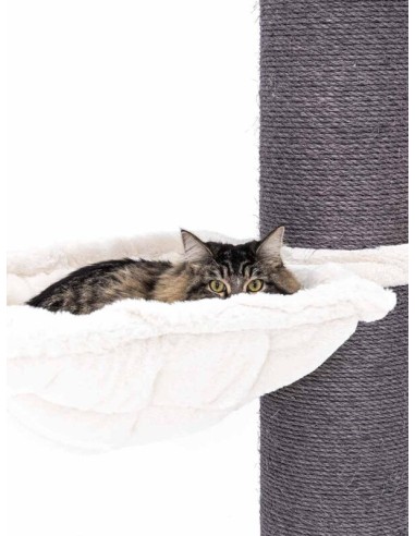 PET REBELS rascador Maine coon blanco...