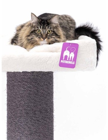 PET REBELS rascador Maine coon blanco...