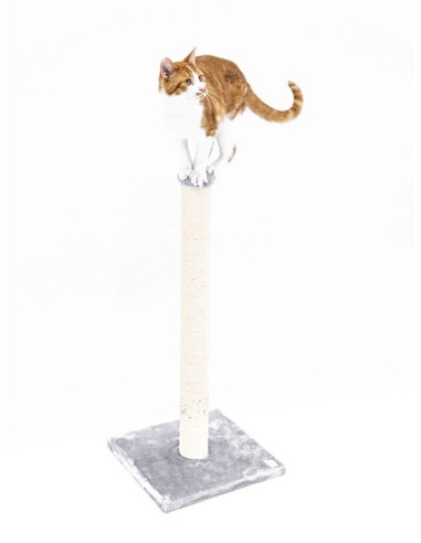 PET REBELS rascador Alexis capuchino...