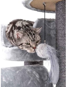 PET REBELS rascador... 2