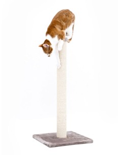 PET REBELS rascador Jane... 2