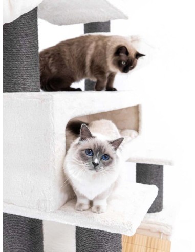 PET REBELS rascador Look Out crema...