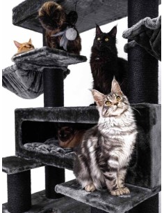 PET REBELS rascador Look... 2