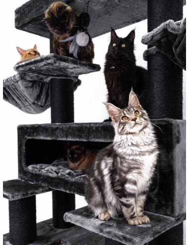 PET REBELS rascador Look Out pimienta...