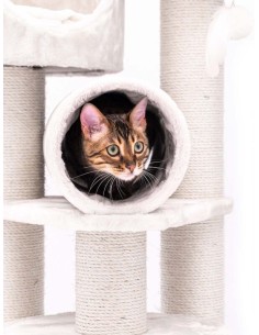 PET REBELS rascador... 2