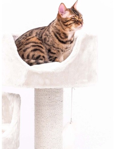 PET REBELS rascador Victoria crema...