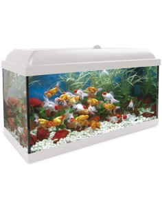 ICA Aqualed kit interior...