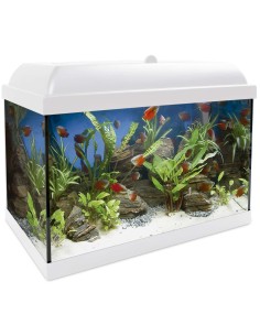 ICA Aqualed kit interior...