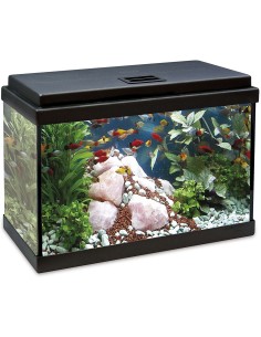 ICA Aqualed kit interior...