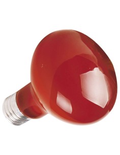 ICA Repti Selva bombilla...