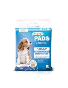 ICA Puppy empapadores...