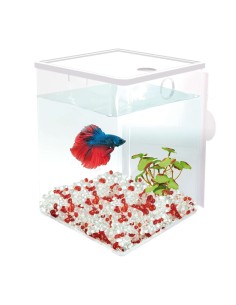 ICA Bettaworld kit de...