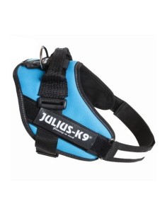 JULIUS K9 IDC azul claro...