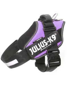 JULIUS K9 IDC lila talla 2...