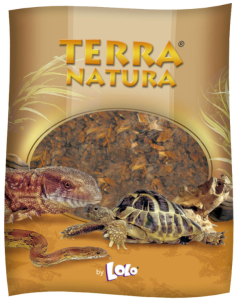 ICA Lolo corteza media...