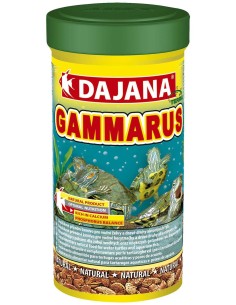 DAJANA gammarus 1 L