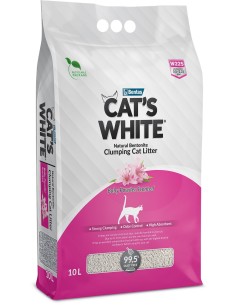 CAT'S WHITE arena...