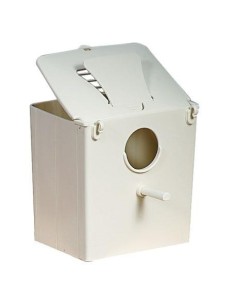 STA nido aves michelangelo