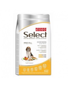 SELECT perro adulto...