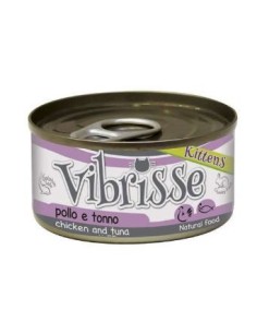 VIBRISSE gato kitten atun y...
