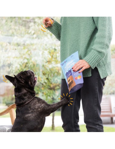 E&C DOG SNACK JERKYS CARNE DE RES 150 GR