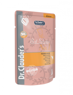 DR CLAUDER gato kitten best...