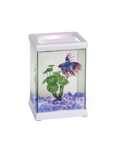 ICA Betta space led kit...