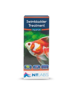 ICA NT tratamiento...