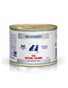 ROYAL CANIN perro adulto...