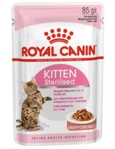 ROYAL CANIN gato kitten...