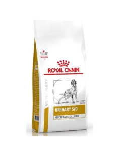 ROYAL DIET DOG URINARY...